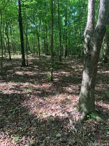 7700 Poole Circle, Alto, GA 30510