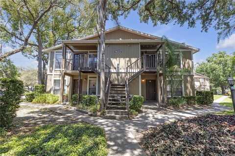14317 HANGING MOSS CIRCLE, TAMPA, FL 33613