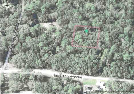 NO STREET, ORANGE CITY, FL 32763
