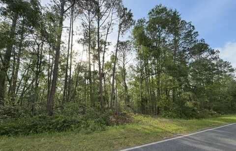 658 Taylor Springs Rd, Vidalia, GA 30474