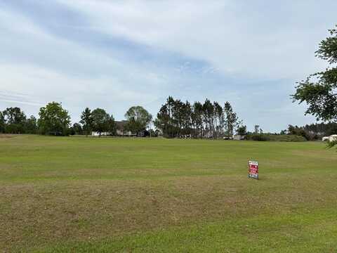 0 Petross Rd, Vidalia, GA 30474