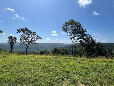 Tract F AR 7 South, Jasper, AR 72641