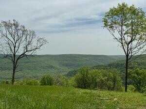 Tract F AR 7 South, Jasper, AR 72641