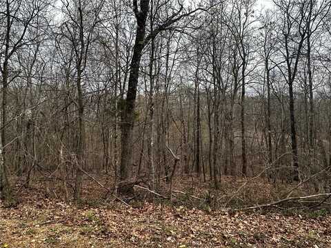 LOT 49 Glyndebourne DR, Bella Vista, AR 72714