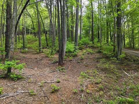 Tract 3C Riverside Drive, HIAWASSEE, GA 30546