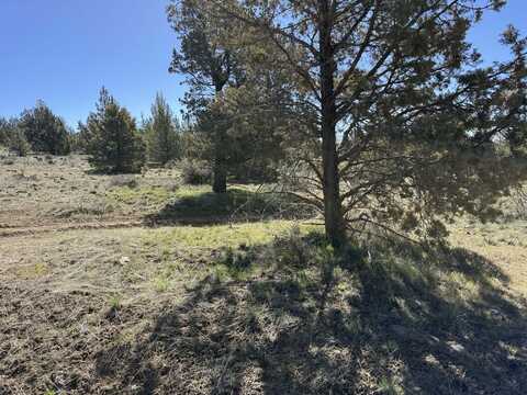 Bluebill Lane, Bonanza, OR 97623