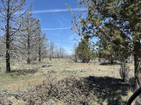 31763 Godowa Springs Road, Beatty, OR 97621