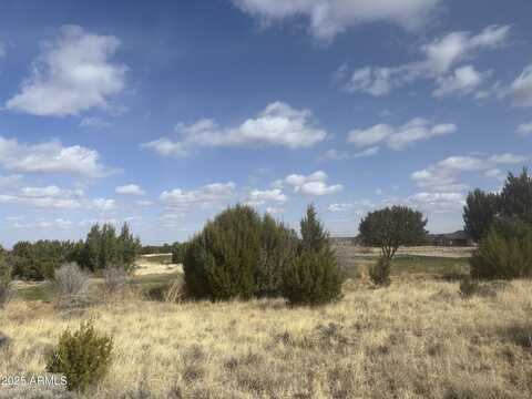 1956 CREEKSIDE Circle, Show Low, AZ 85901