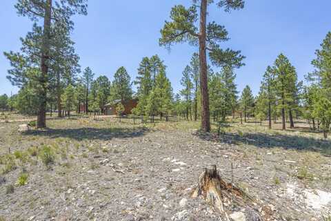 2906 DURANGO Drive, Happy Jack, AZ 86024