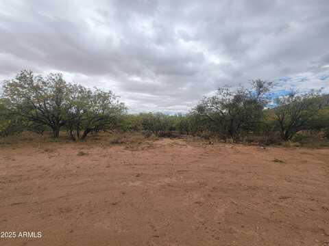 Lot E E Anika Way, Hereford, AZ 85615