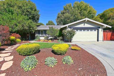 7776 Dublin Green Ct, Dublin, CA 94568
