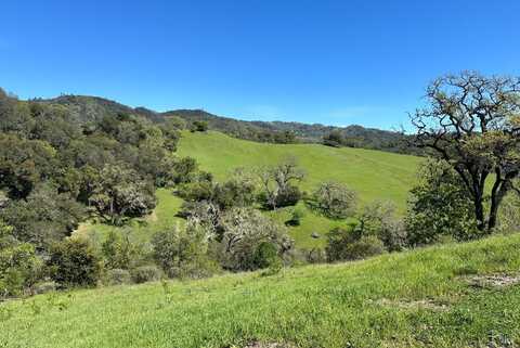23655 Vineyard Road, Geyserville, CA 95441