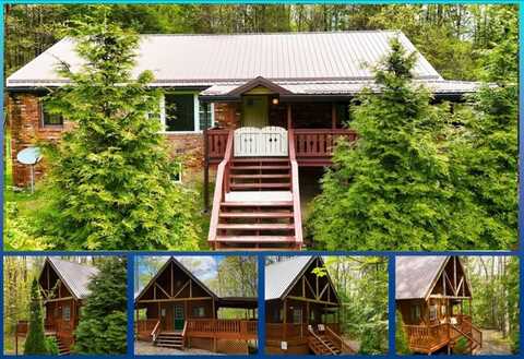 Hemlock Haven Plus, HICO, WV 25854