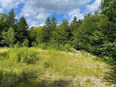 Wa2 Partridge Knoll, Cathance Twp, ME 04628