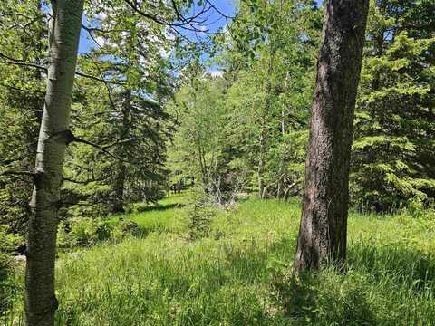 TBD Terry Peak Summit Rd, Lead, SD 57754