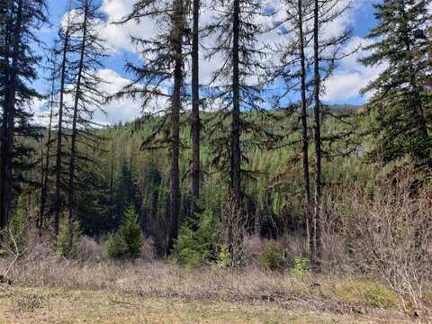 Tract 3 Nine Mile Road, Huson, MT 59846