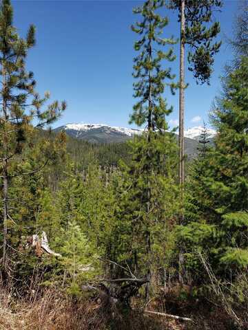 Tract 12 Grouse Lode Nine Mile Road, Huson, MT 59846