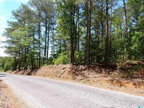 01 SAINT MARY ROAD, LINCOLN, AL 35160