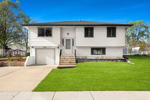 728 Boxwood Drive, Schaumburg, IL 60193