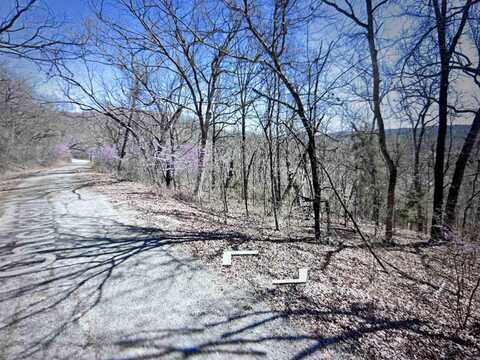 Lot 31 Chickasaw Lane, Holiday Island, AR 72631