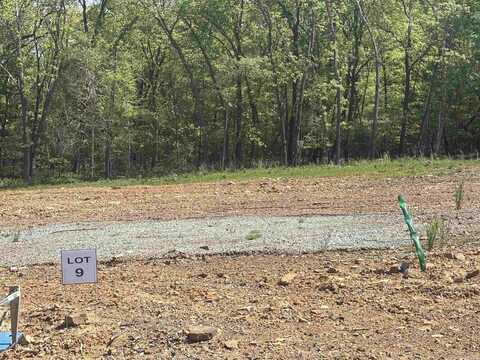 Lot 9 Madeleine Circle, Austin, AR 72007