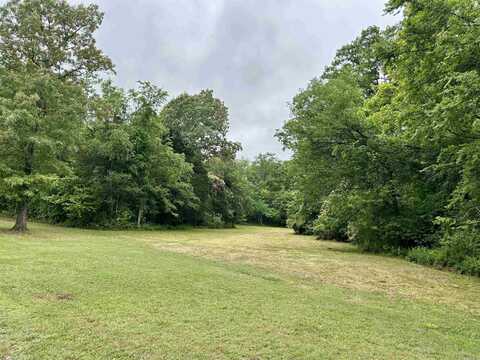 000 Summers Meadow Dr, Mountain View, AR 72560