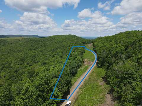TBD Lick Fork Rd, Witt Springs, AR 72686