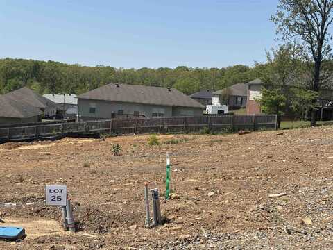 Lot 25 Madeleine Circle, Austin, AR 72007