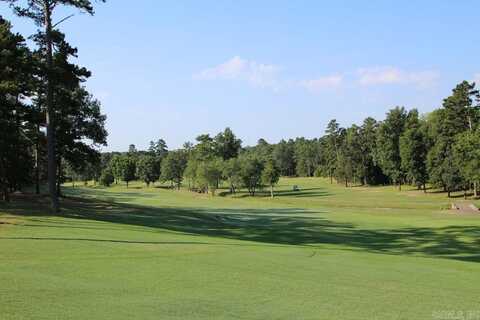 13 Patrulla Ln, Hot Springs Village, AR 71909