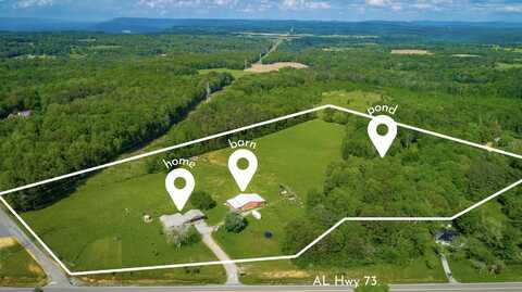 7080 Alabama Hwy 73, Bryant, AL 35958