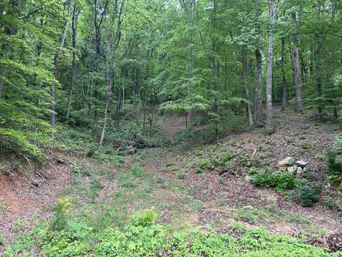 0 Candies Creek Ridge Road NW, Cleveland, TN 37312