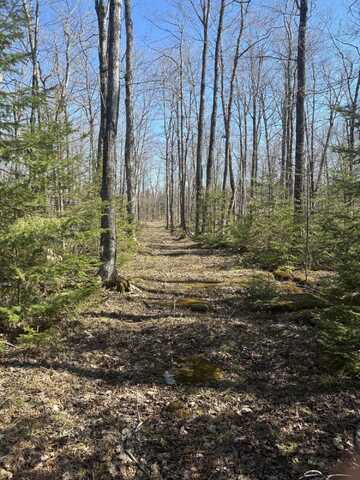 TBD S WALDING RD, DRUMMOND ISLAND, MI 49726
