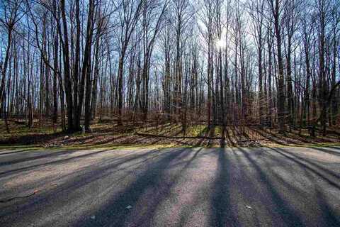 TBD KLEIN STRASSE LOT 15, BELLAIRE, MI 49615