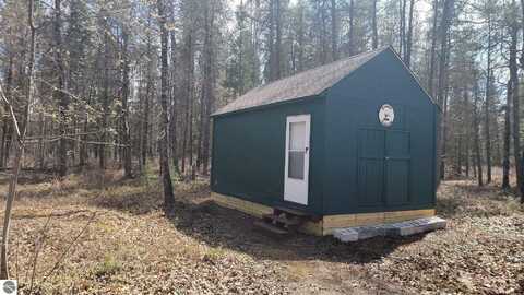 XXX BLUE SPRINGS ROAD, FALMOUTH, MI 49632