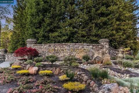 18 Emmons Canyon Ct, Alamo, CA 94507