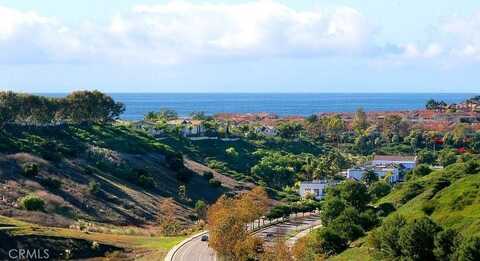5 Tawny, Dana Point, CA 92629
