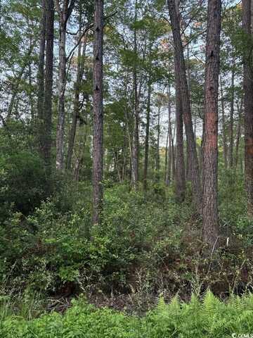 3 Thicketwood Dr., Calabash, NC 28467