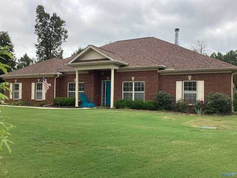 110 Windledge Place, Harvest, AL 35749
