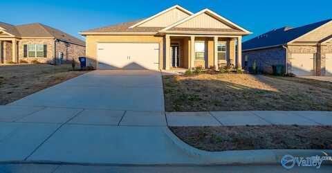 13222 New Foal Lane NW, Madison, AL 35756