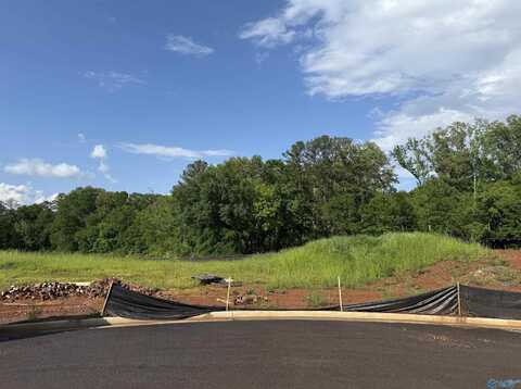 Lot 8 Tumbleweed Drive, Guntersville, AL 35976
