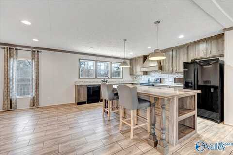 5685 Alabama Highway 227, Guntersville, AL 35976