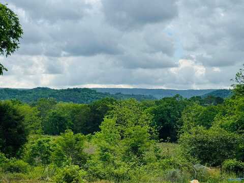 2803 Browder Road NW, Fort Payne, AL 35968