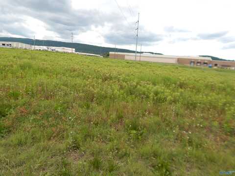 1.48 Acres Holman Street, Leesburg, AL 35983