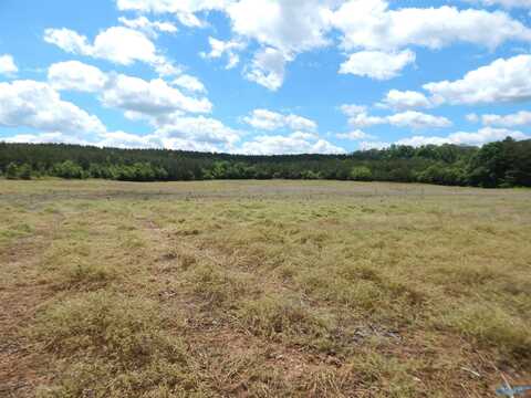 40 Acres County Road 29, Piedmont, AL 36272