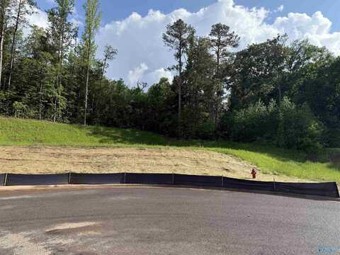 Lot 6 Tumbleweed Drive, Guntersville, AL 35976