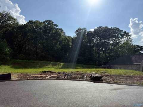 Lot 5 Tumbleweed Drive, Guntersville, AL 35976