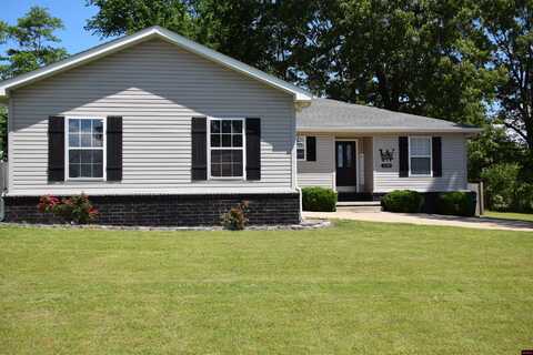 420 TRAVELERS WAY, Gassville, AR 72653