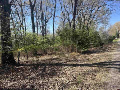 Lot 25 LAKEPOINTE DRIVE, Flippin, AR 72634