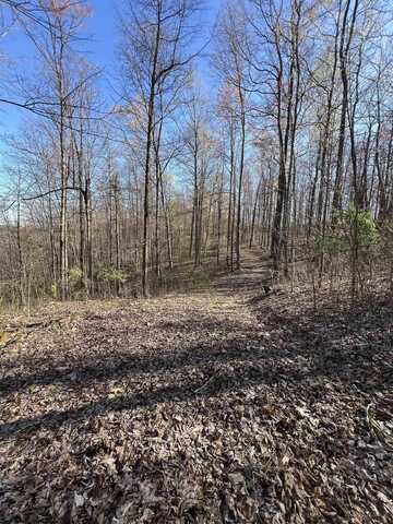 0 Wolf Pen Road, Crawford, WV 26343