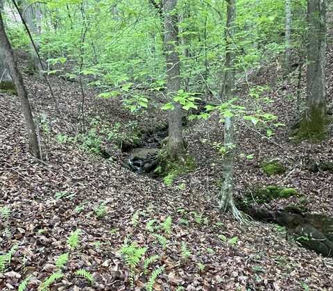 Lot 127 Water Oak Drive, Ellijay, GA 30540